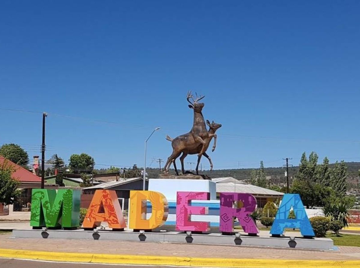 Visita Madera